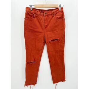 Gloria Vanderbilt Amanda Classic Orange Denim Raw Hem Jeans Women's Size 6